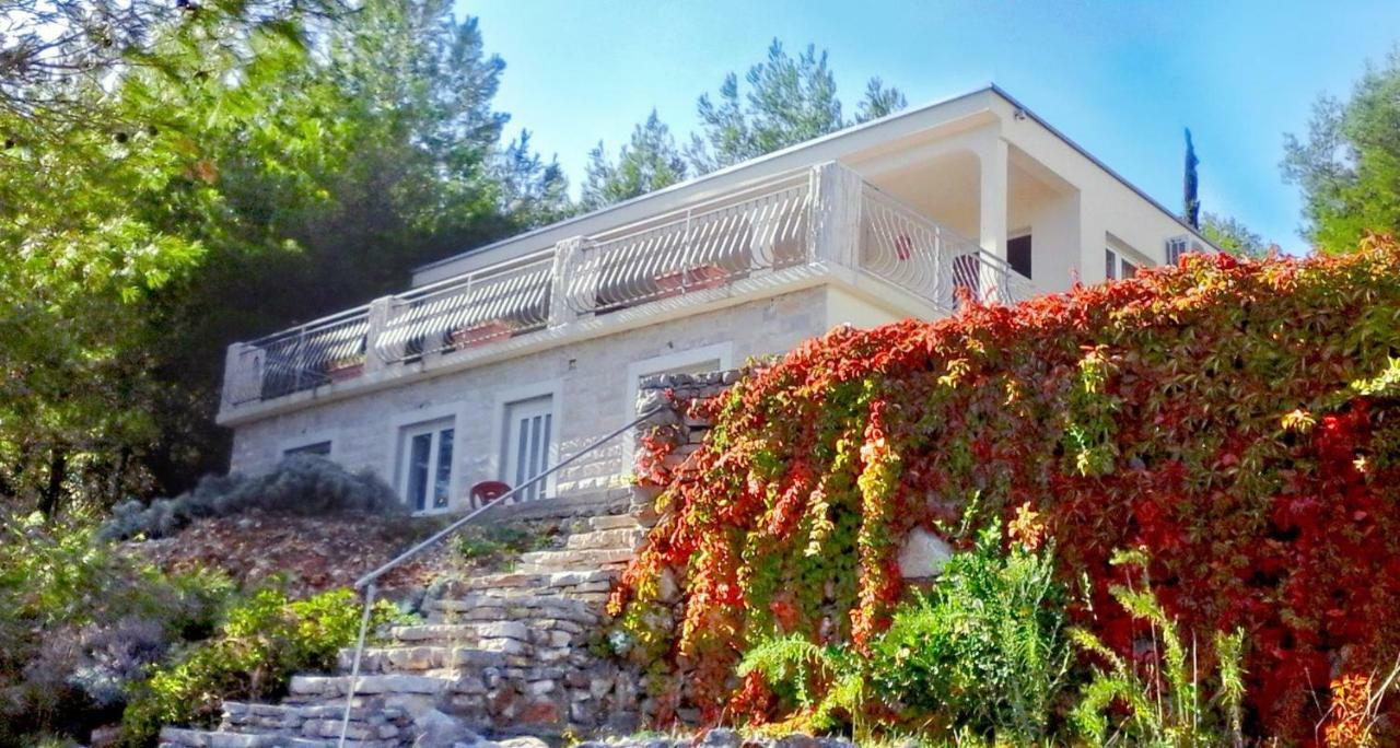 Hvar Melody, Island Hvar, Rosohotnica Bay Basina Bagian luar foto