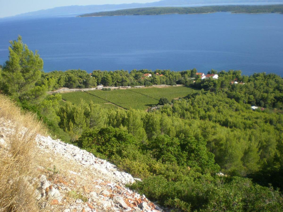 Hvar Melody, Island Hvar, Rosohotnica Bay Basina Bagian luar foto