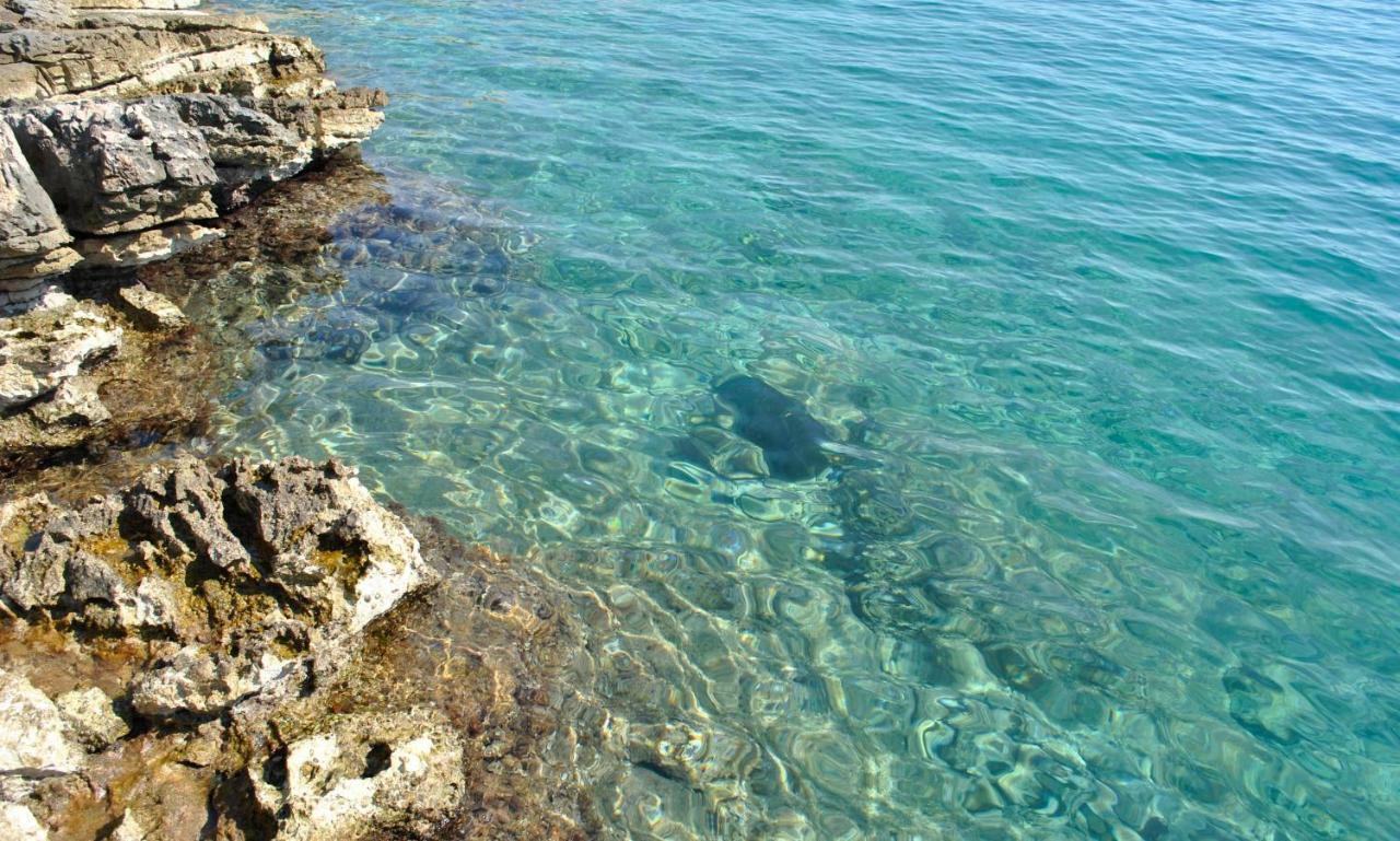 Hvar Melody, Island Hvar, Rosohotnica Bay Basina Bagian luar foto